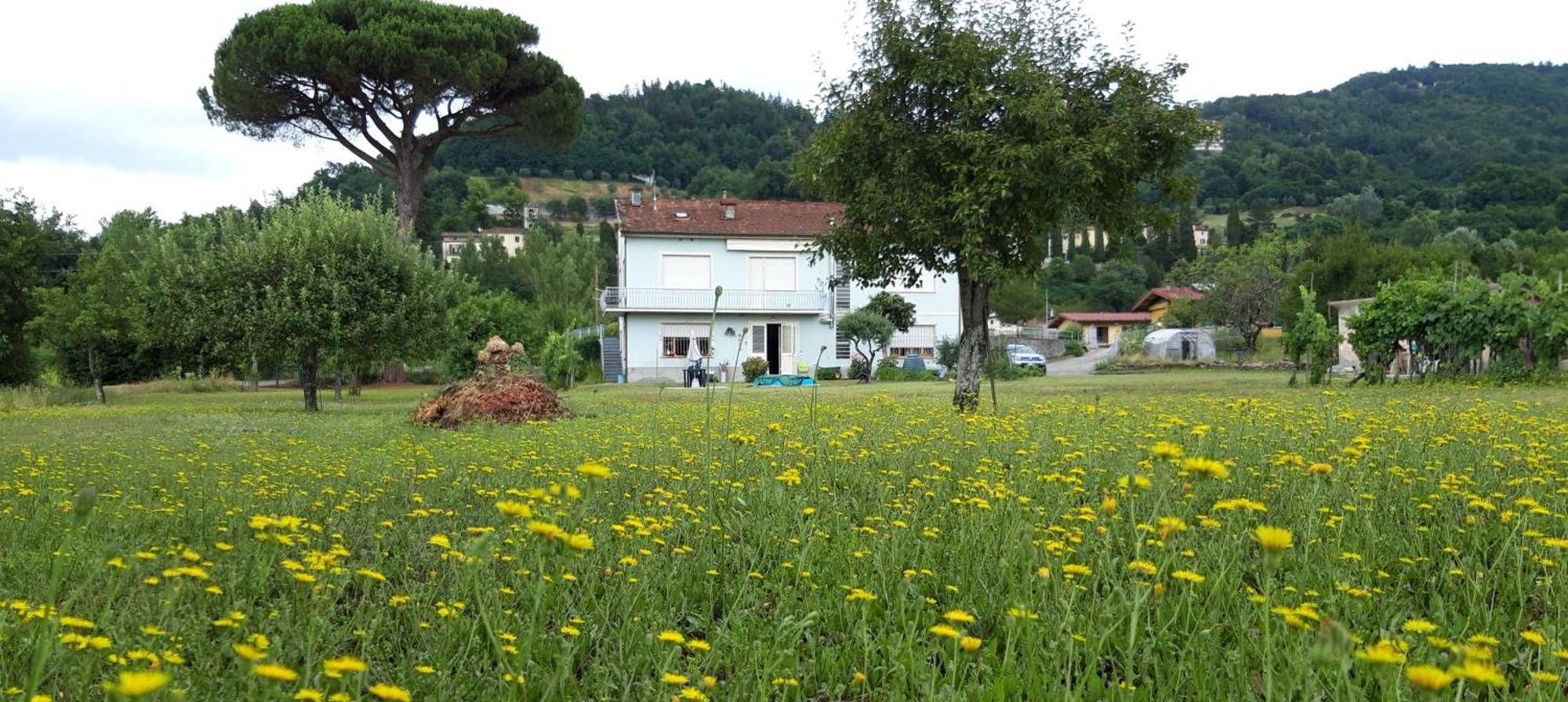 Affittacamere La Foresta Di Sopra Barga Exterior foto