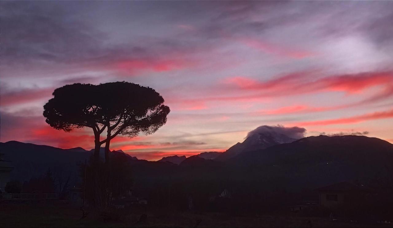 Affittacamere La Foresta Di Sopra Barga Exterior foto