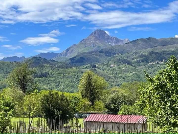 Affittacamere La Foresta Di Sopra Barga Exterior foto